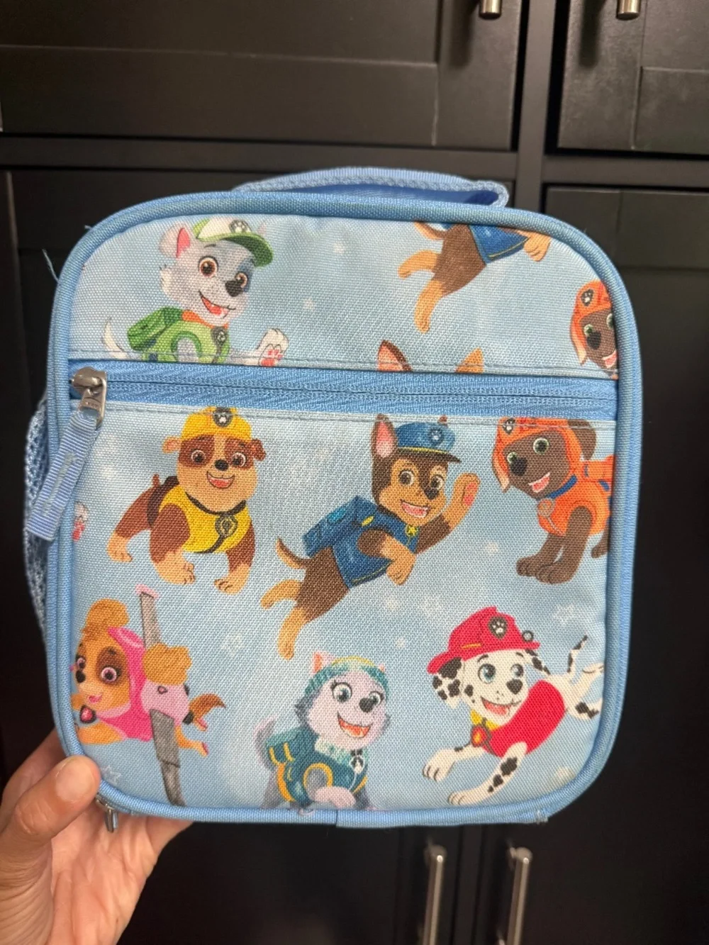 Paw Patrol Lunchbox